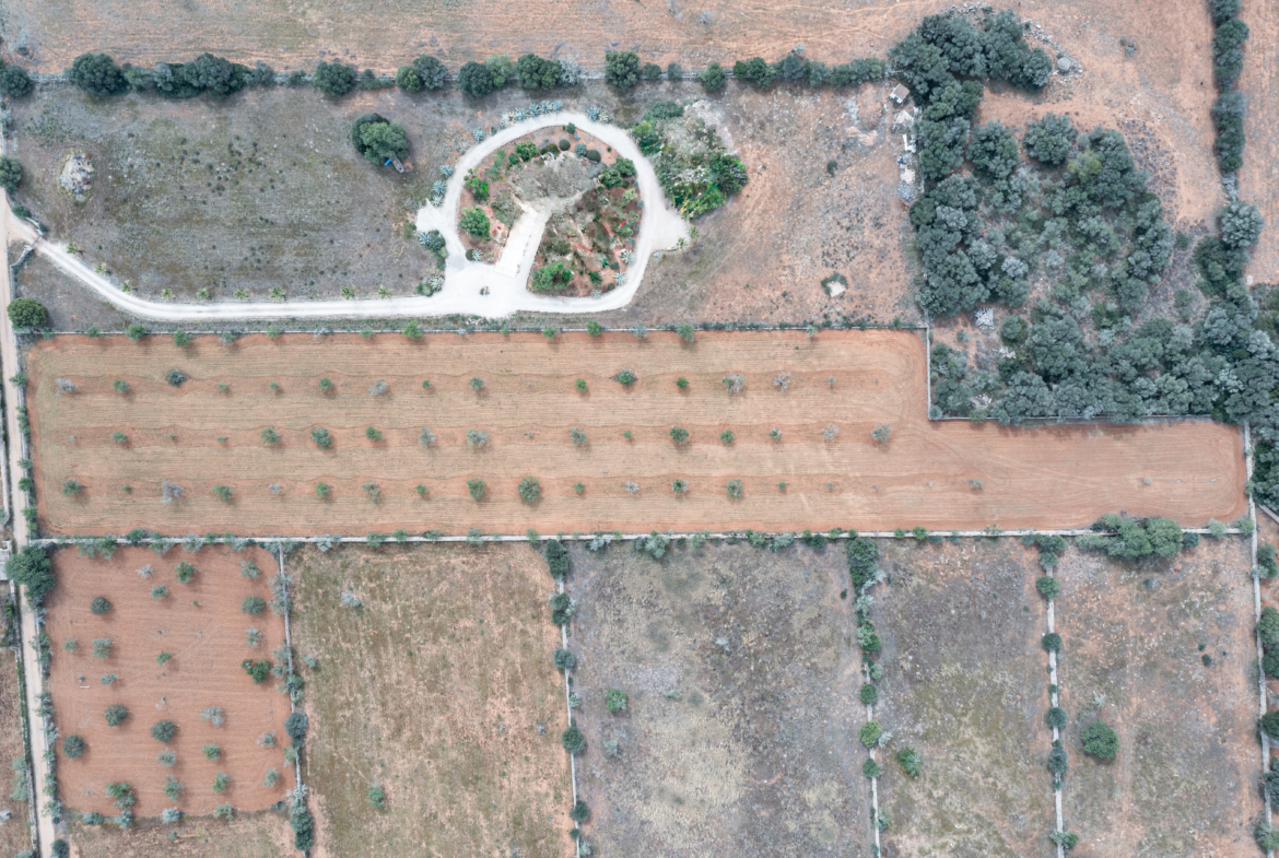 Terreno edificable de 19.385 m² junto a Santanyí, Mallorca