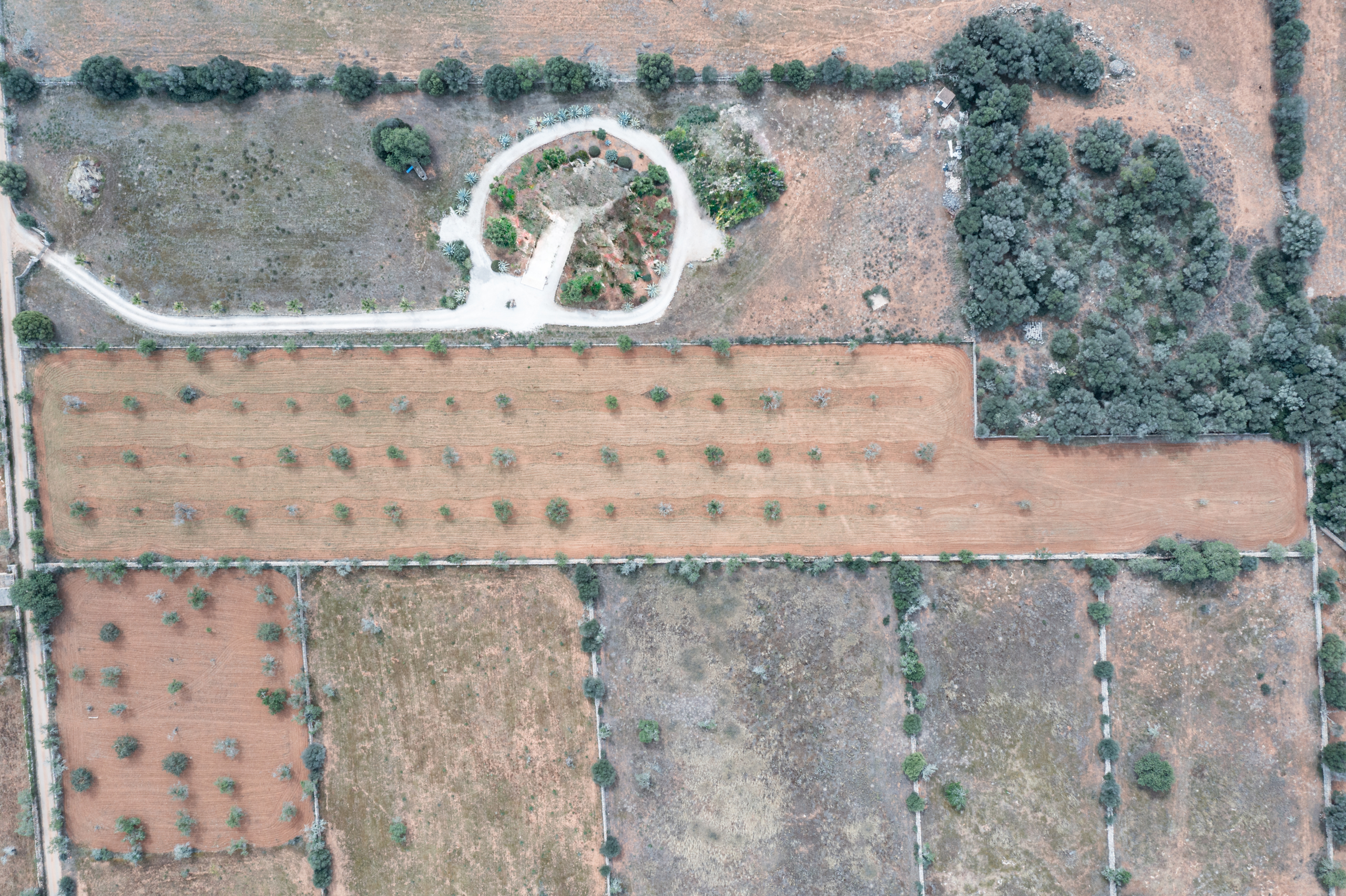 Terreno edificable de 19.385 m² junto a Santanyí, Mallorca