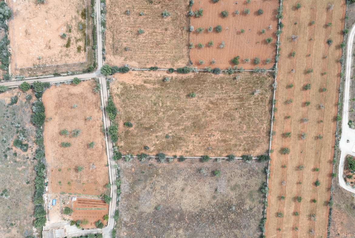 Terreno edificable de 19.385 m² junto a Santanyí, Mallorca