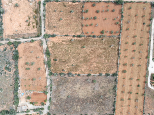Terreno edificable de 19.385 m² junto a Santanyí, Mallorca