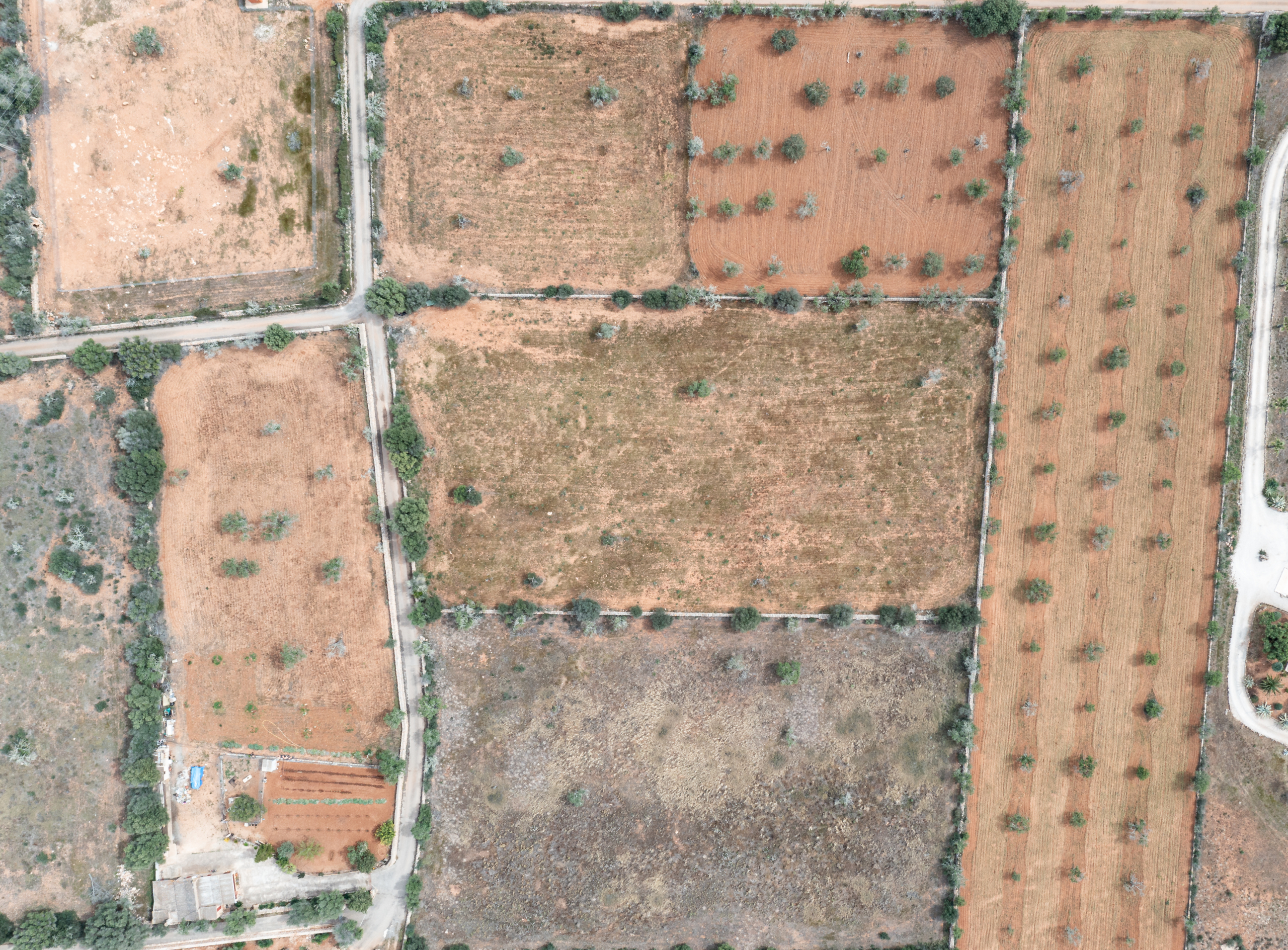 Terreno edificable de 19.385 m² junto a Santanyí, Mallorca