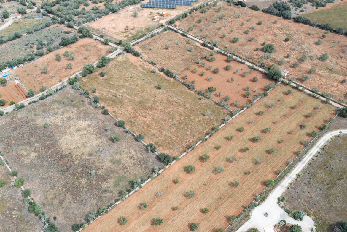 Terreno edificable de 19.385 m² junto a Santanyí, Mallorca
