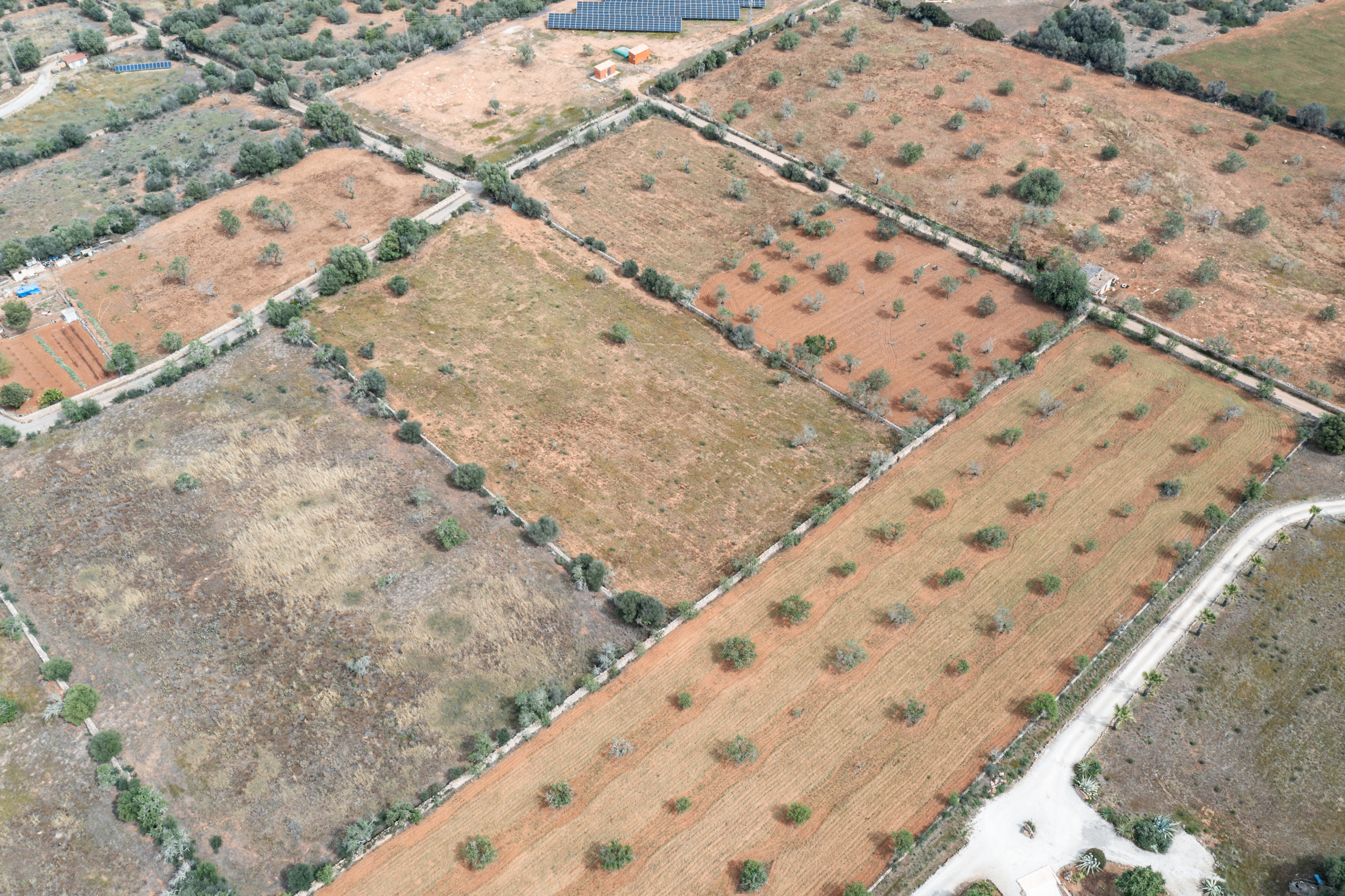 Terreno edificable de 19.385 m² junto a Santanyí, Mallorca