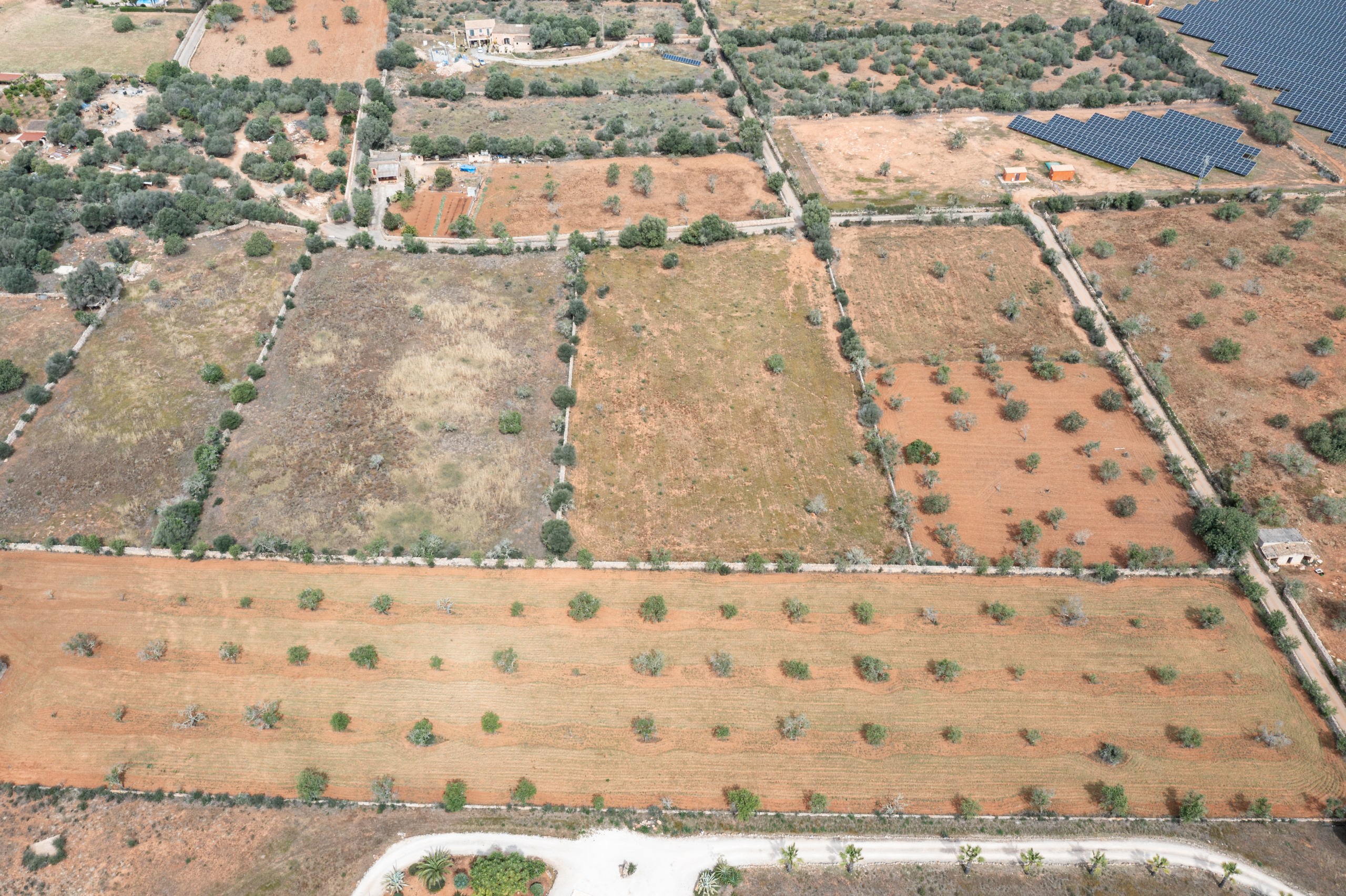 Terreno edificable de 19.385 m² junto a Santanyí, Mallorca