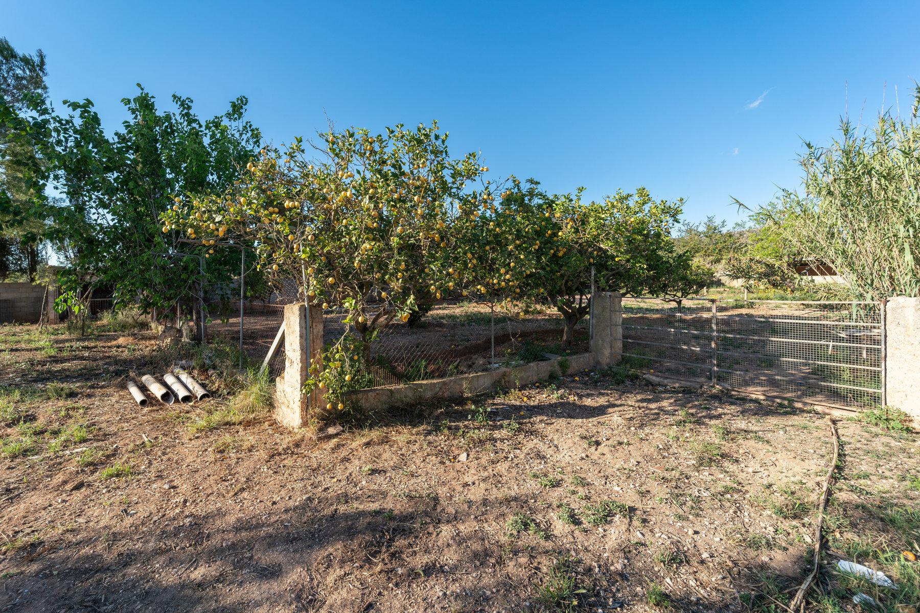 1408-Country-Estate-for-sale-next-to-Llucmajor.1.jpg Rustikale Finca mit eigenem Brunnen und Bergblick bei Llucmajor
