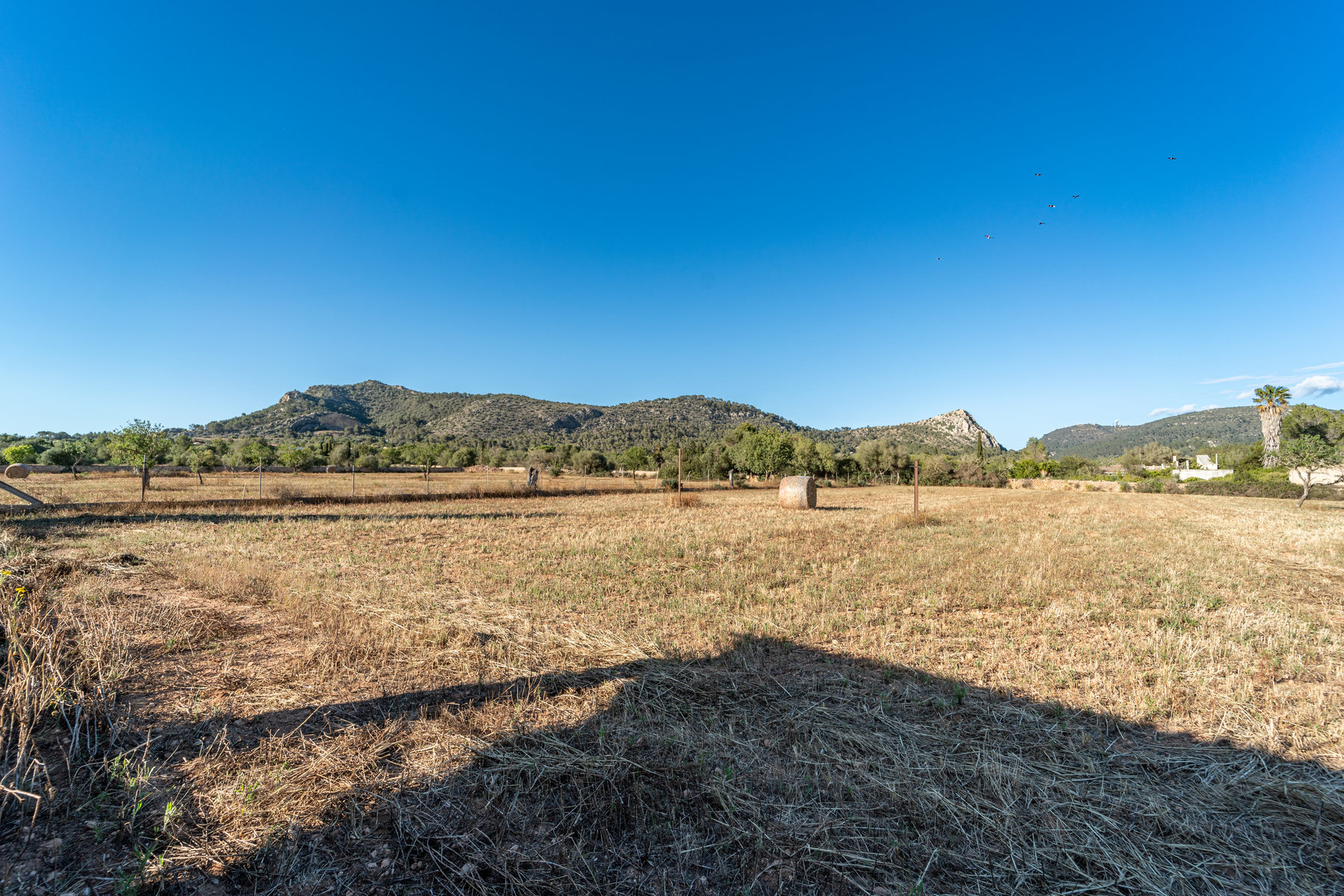 1408-Country-Estate-for-sale-next-to-Llucmajor.11.jpg Rustikale Finca mit eigenem Brunnen und Bergblick bei Llucmajor