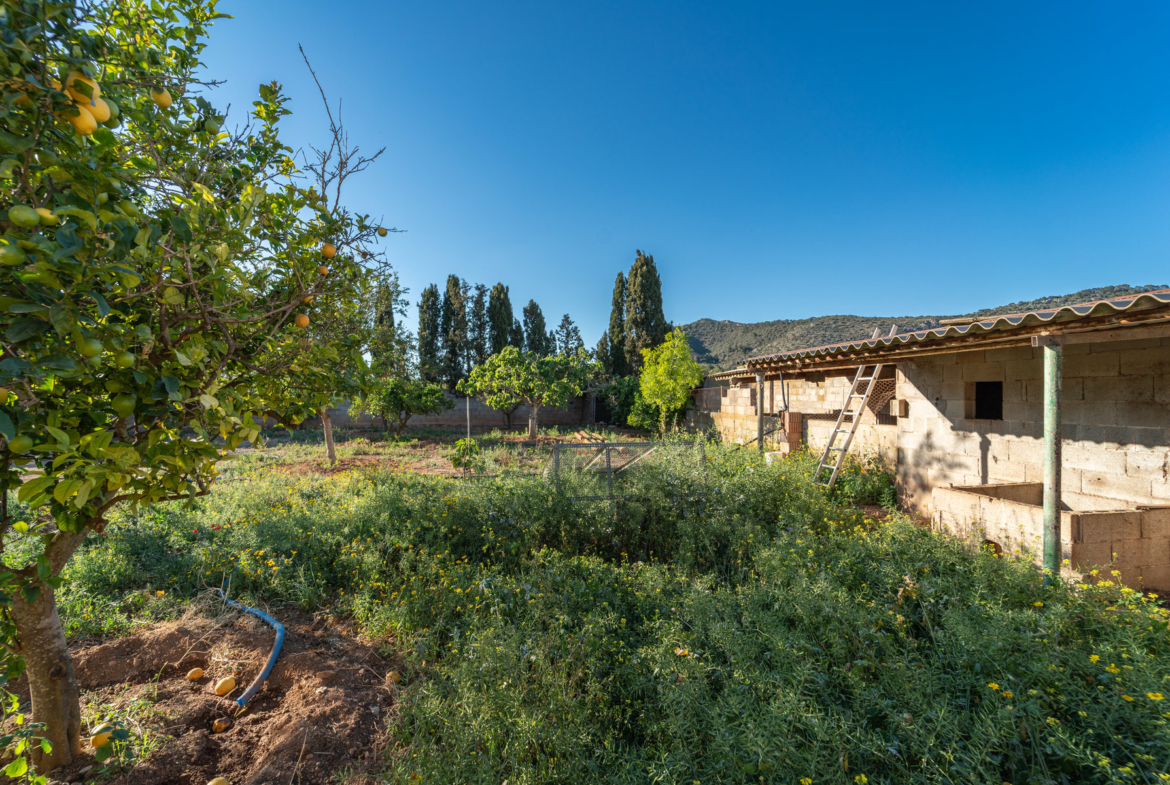 Rustikale Finca mit eigenem Brunnen und Bergblick bei Llucmajor