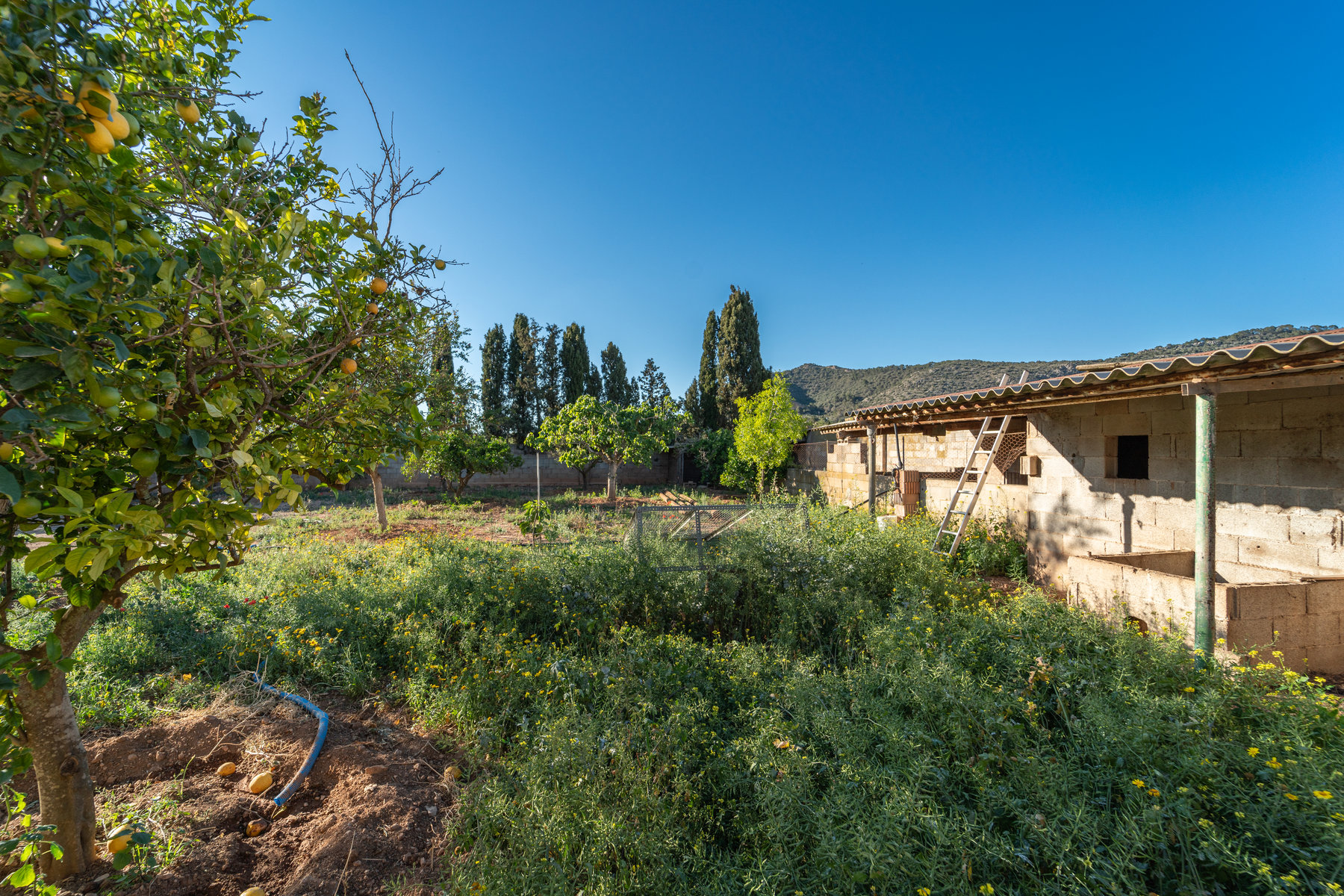1408-Country-Estate-for-sale-next-to-Llucmajor.29.jpg Rustikale Finca mit eigenem Brunnen und Bergblick bei Llucmajor