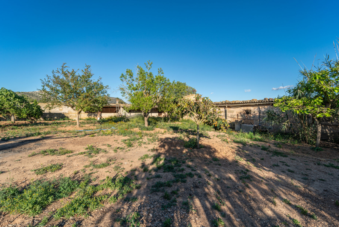 Rustikale Finca mit eigenem Brunnen und Bergblick bei Llucmajor
