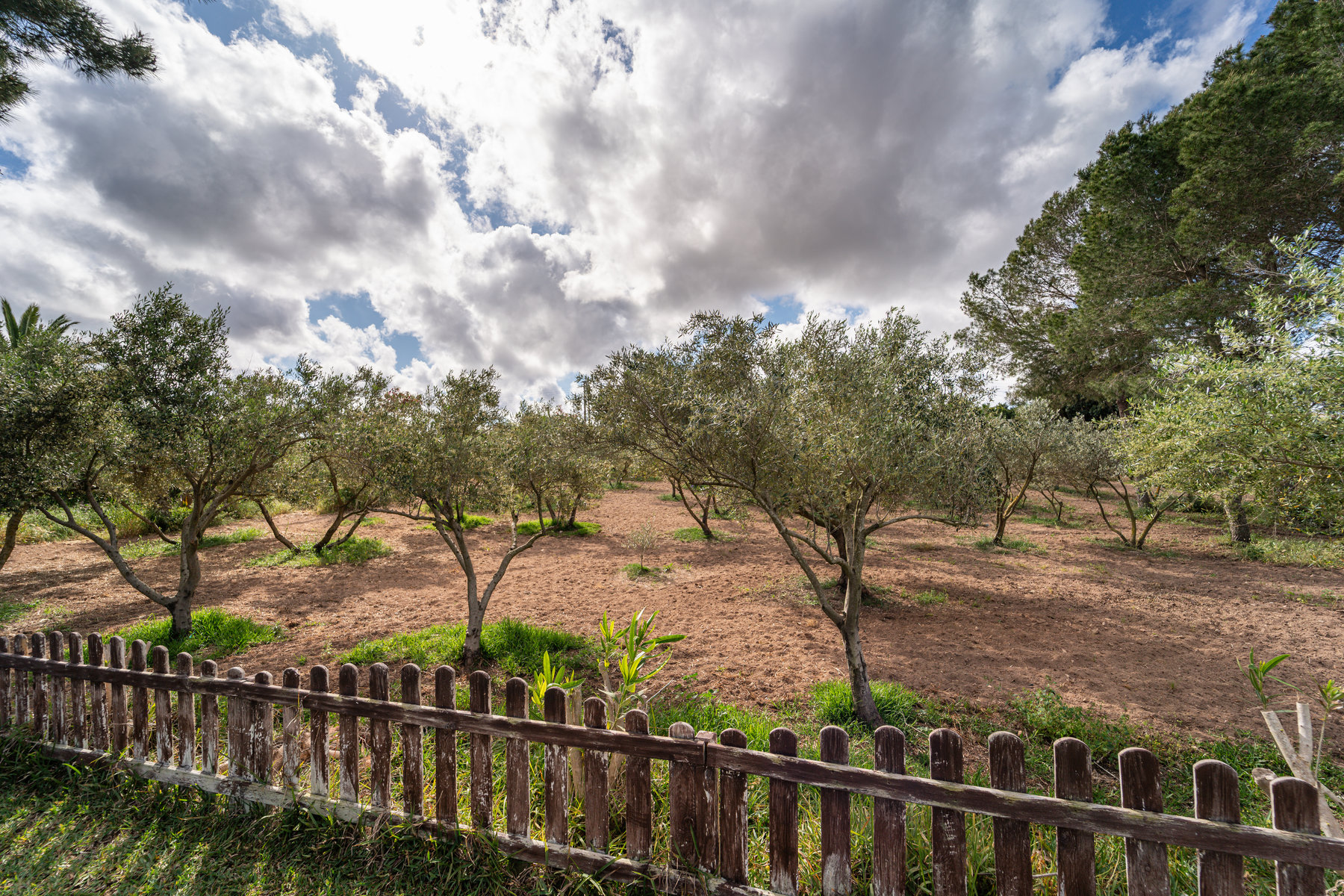 1434-Country-house-with-swimming-pool-in-Colonia-Sant-Jordi-11.jpg Casa de campo con vistas al mar en Colonia de Sant Jordi — 307 m², 5 dorm., piscina salada 52 m²
