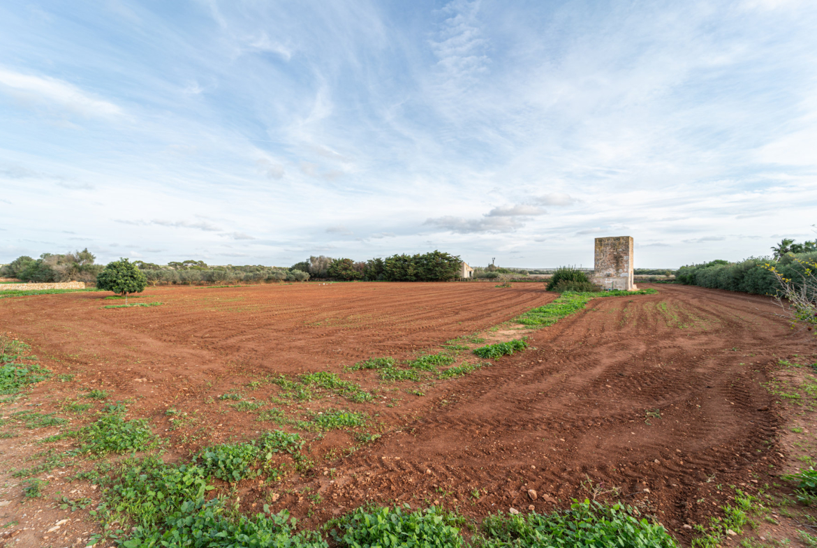 Finca con piscina en molino histórico junto a Ses Salines — 331 m², 15.100 m², año 2017