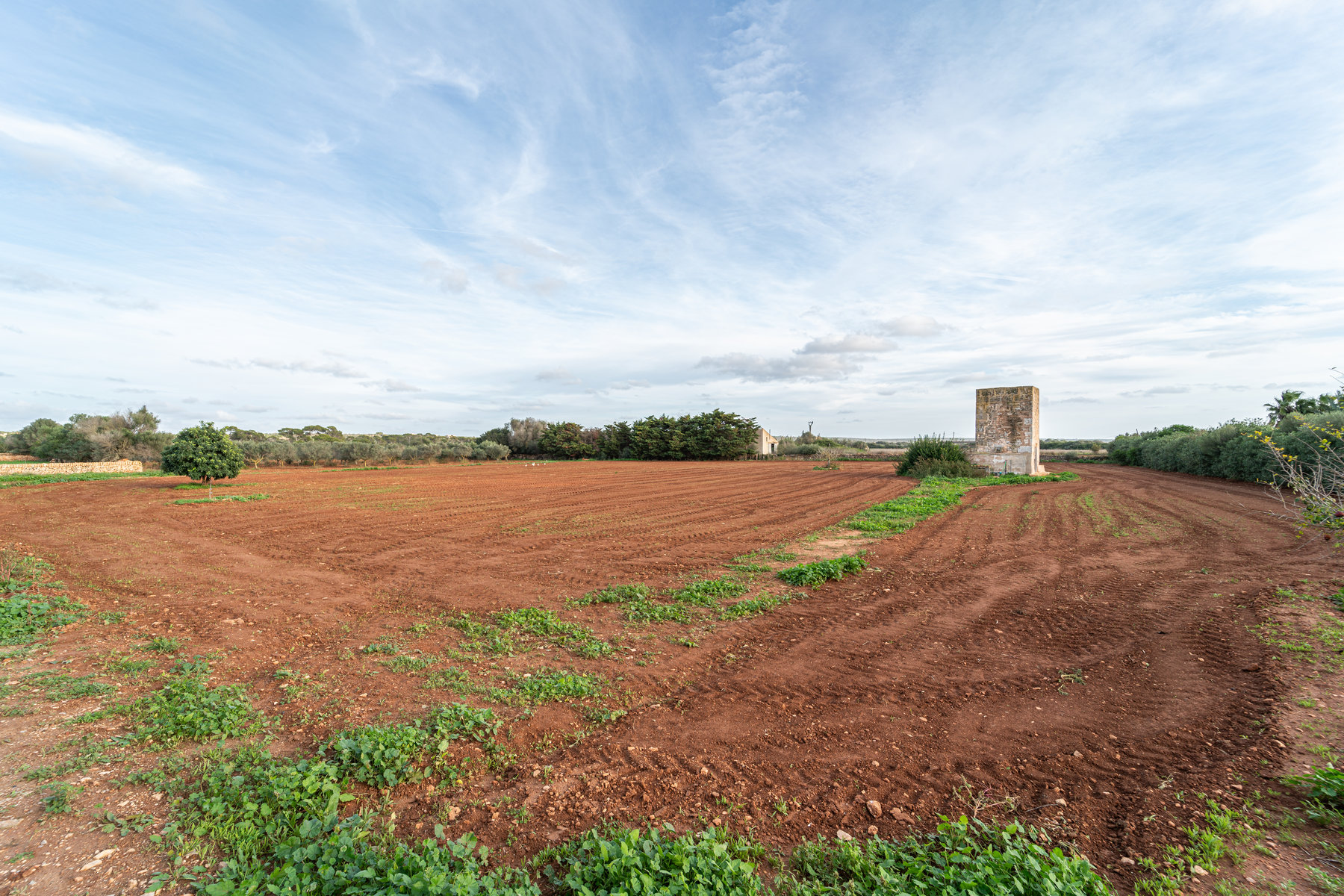 Finca con piscina en molino histórico junto a Ses Salines — 331 m², 15.100 m², año 2017