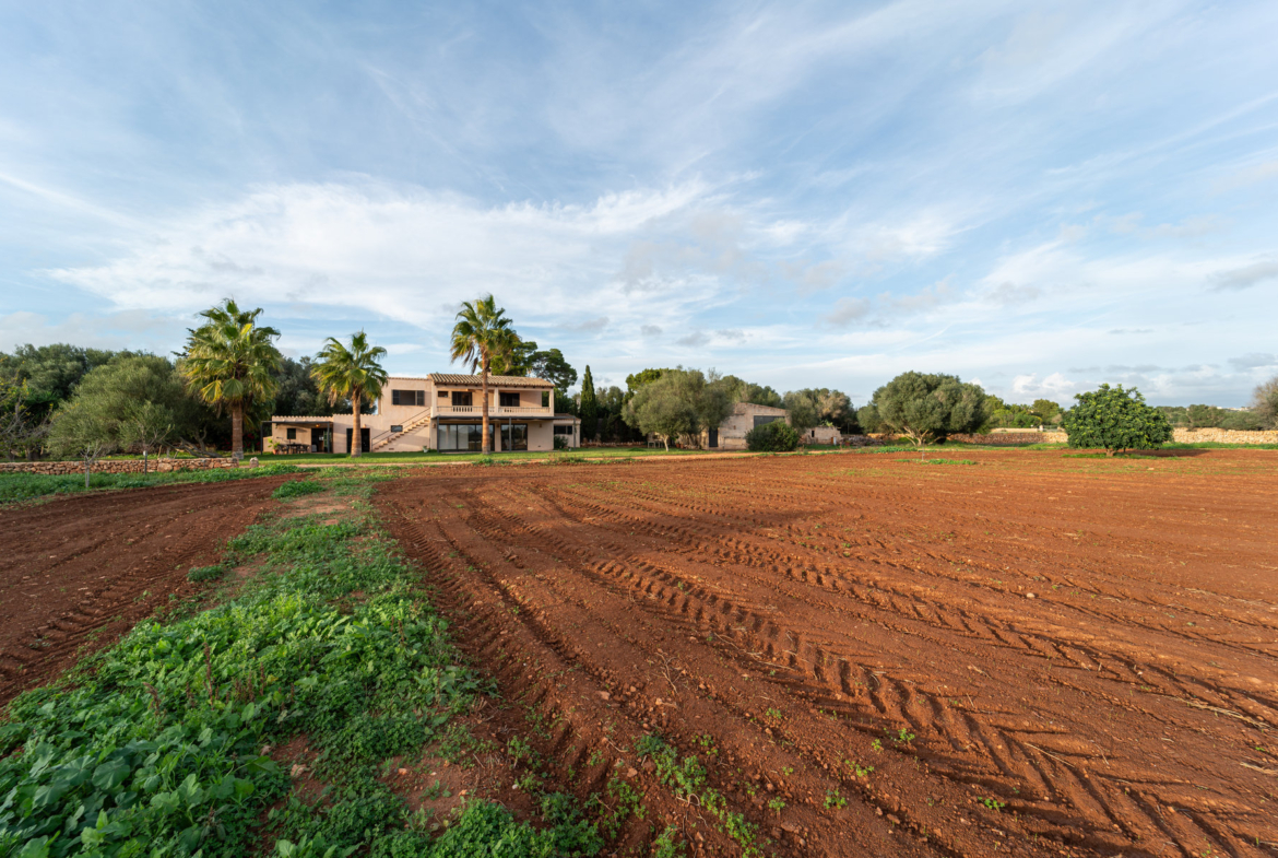 Finca con piscina en molino histórico junto a Ses Salines — 331 m², 15.100 m², año 2017