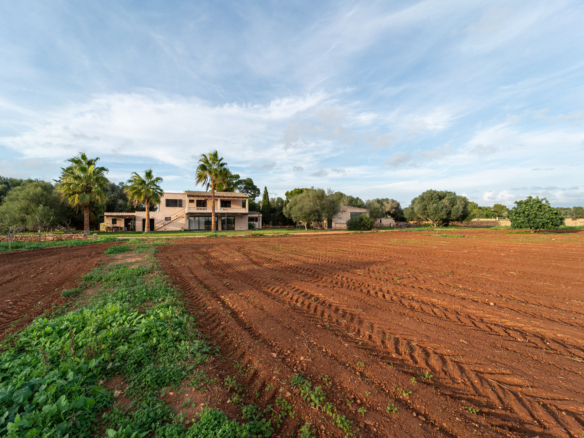Finca con piscina en molino histórico junto a Ses Salines — 331 m², 15.100 m², año 2017