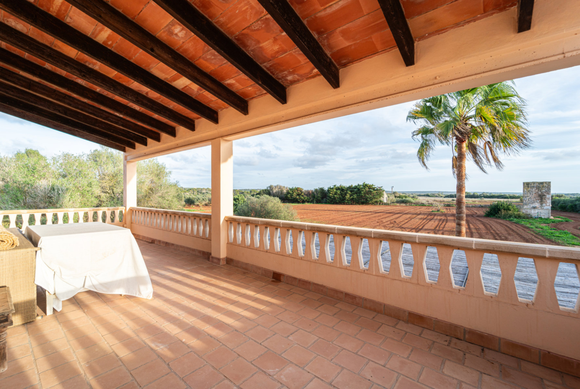 Finca con piscina en molino histórico junto a Ses Salines — 331 m², 15.100 m², año 2017