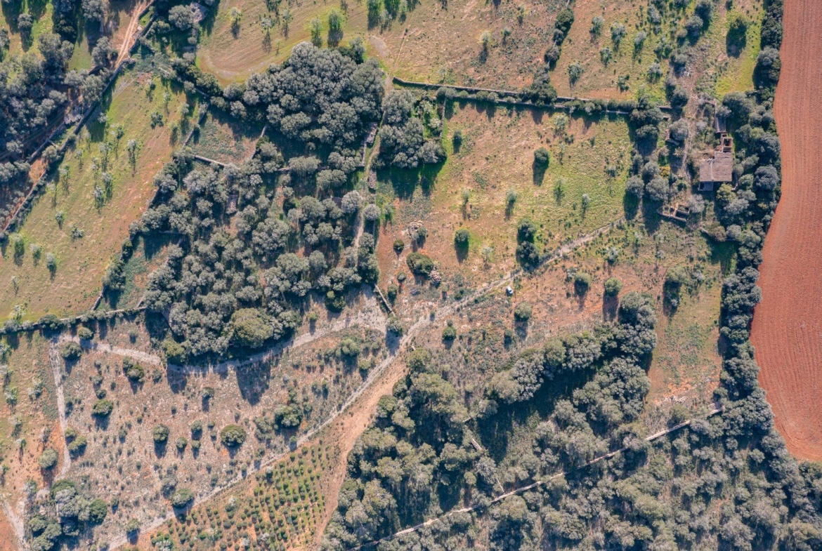 Finca rústica junto a Cala Pí — 136.400 m², término Llucmajor, a 10 min de la costa