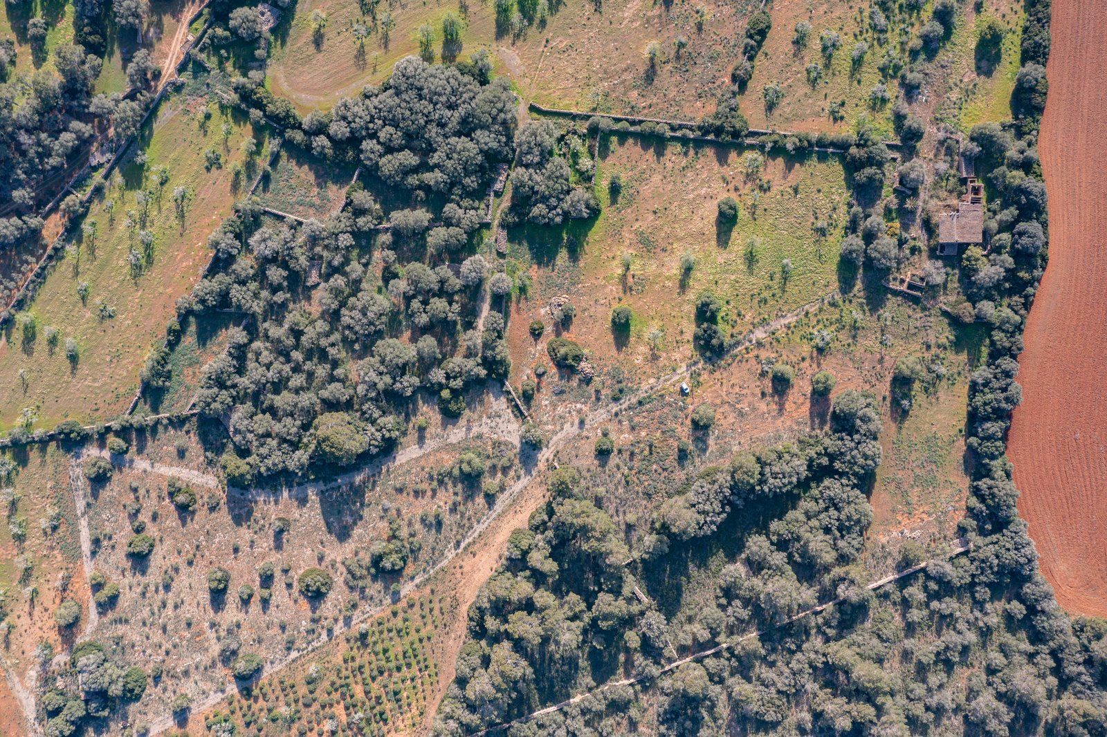 15-866-Villasyfincasmallorca.jpg Finca rústica junto a Cala Pí — 136.400 m², término Llucmajor, a 10 min de la costa
