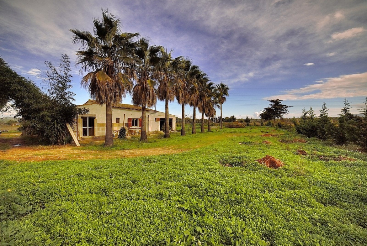 Rustic Finca Near Campos, South Mallorca | 21,900 m² Land