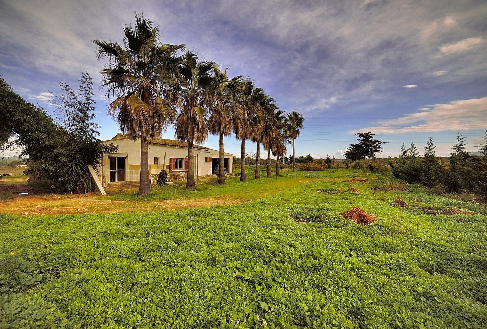 15-Villasyfincasmallorca-3.jpg Rustic Finca Near Campos, South Mallorca | 21,900 m² Land