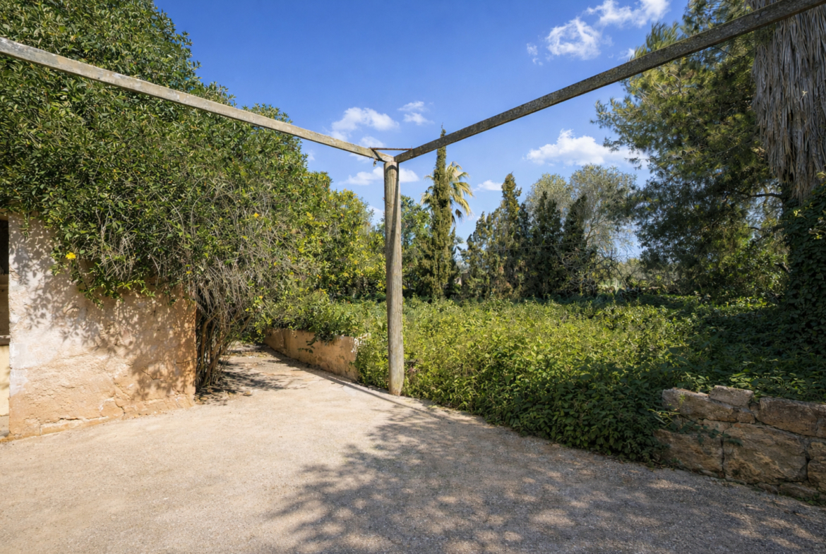 Historic Town House to Renovate in Ses Salines, 274 m² with 433 m² Plot