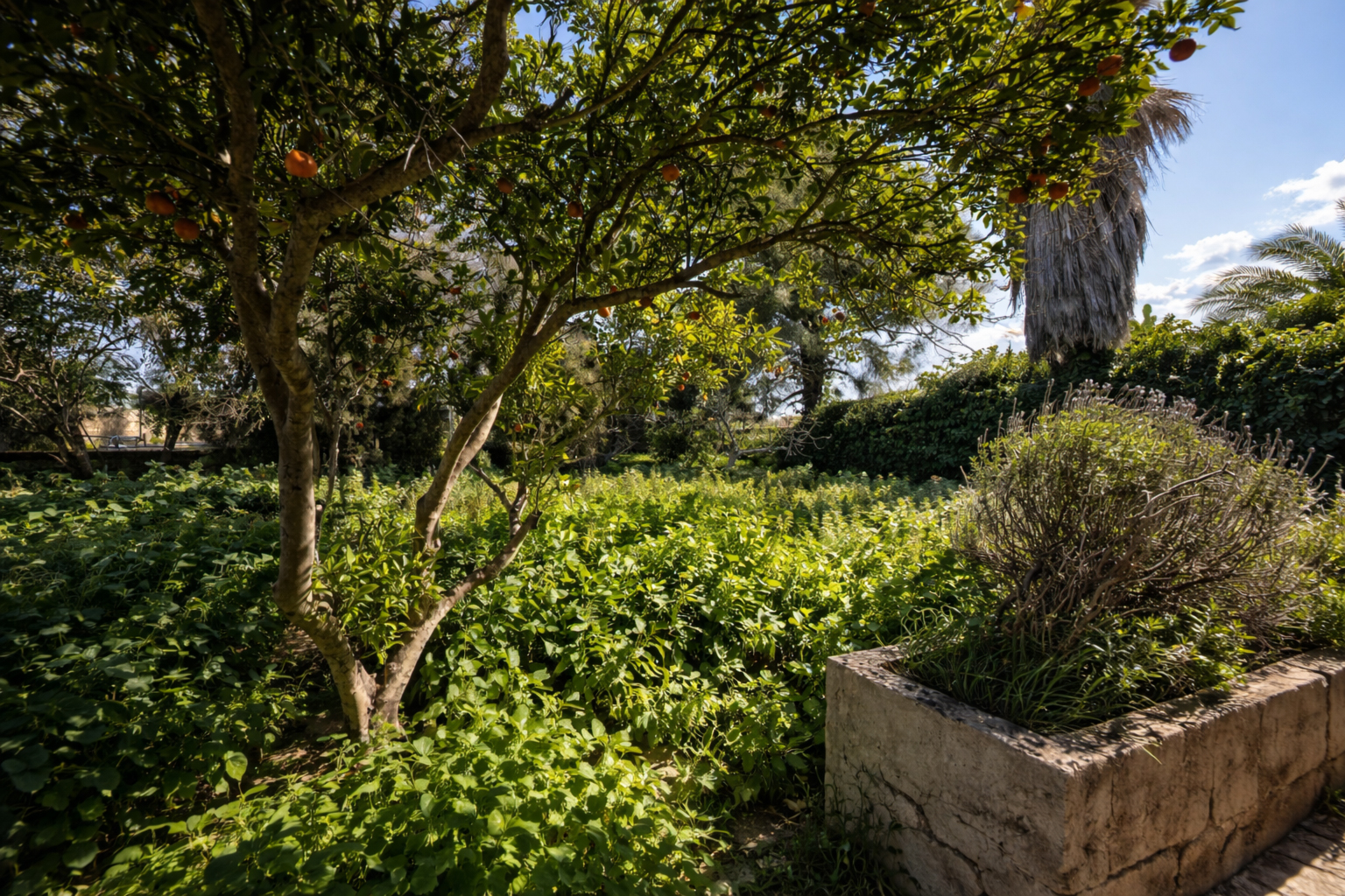 Historic Town House to Renovate in Ses Salines, 274 m² with 433 m² Plot