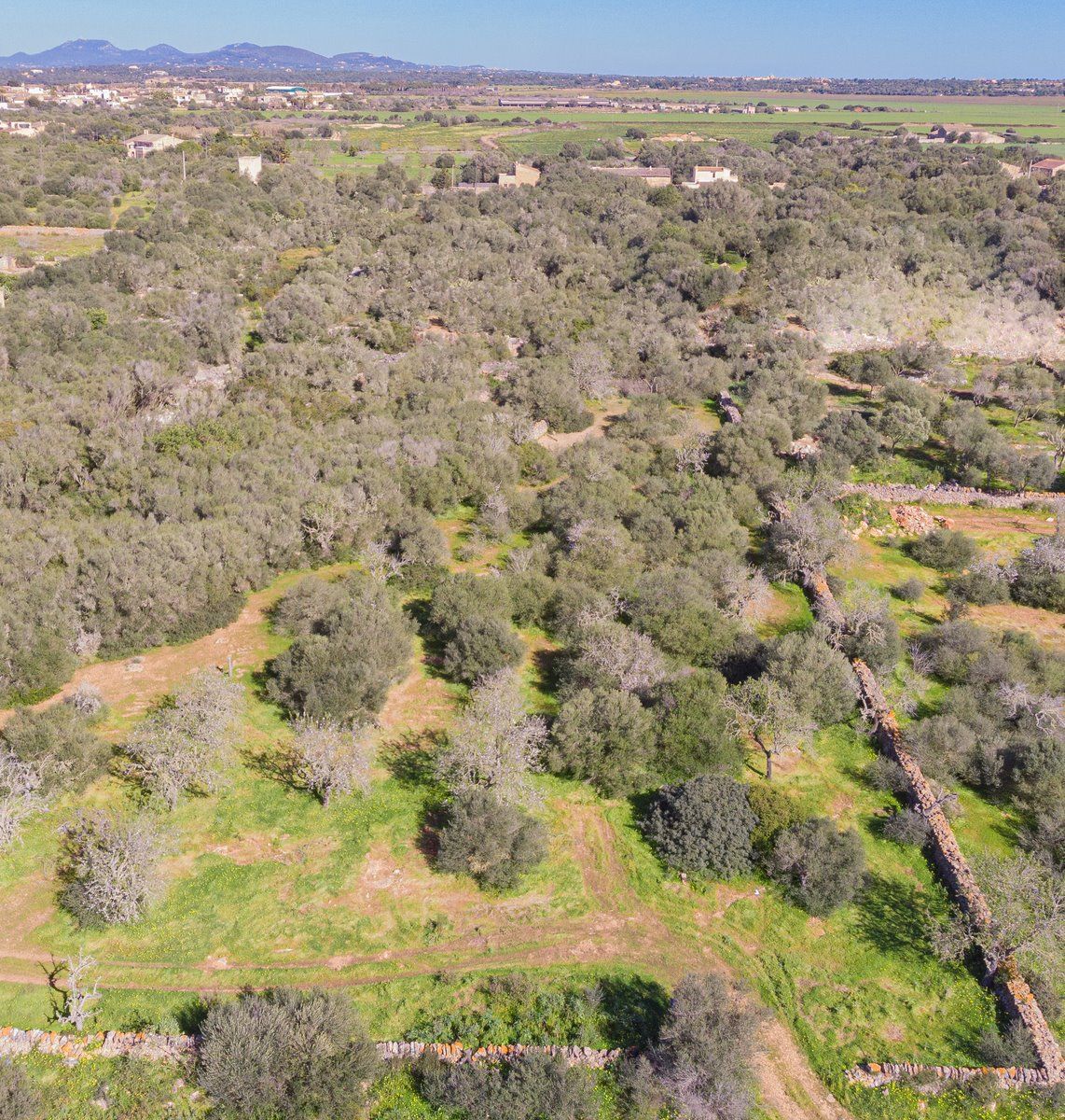 Rustic Land with Sea Views for Sale in Ses Salines, Mallorca