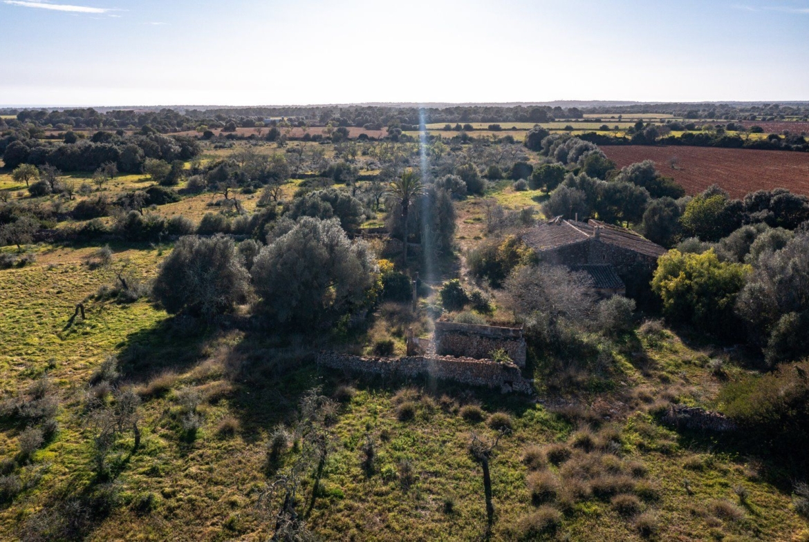 Finca rústica junto a Cala Pí — 136.400 m², término Llucmajor, a 10 min de la costa