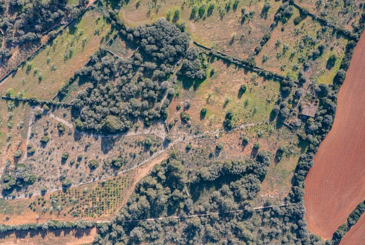 Finca rústica junto a Cala Pí — 136.400 m², término Llucmajor, a 10 min de la costa