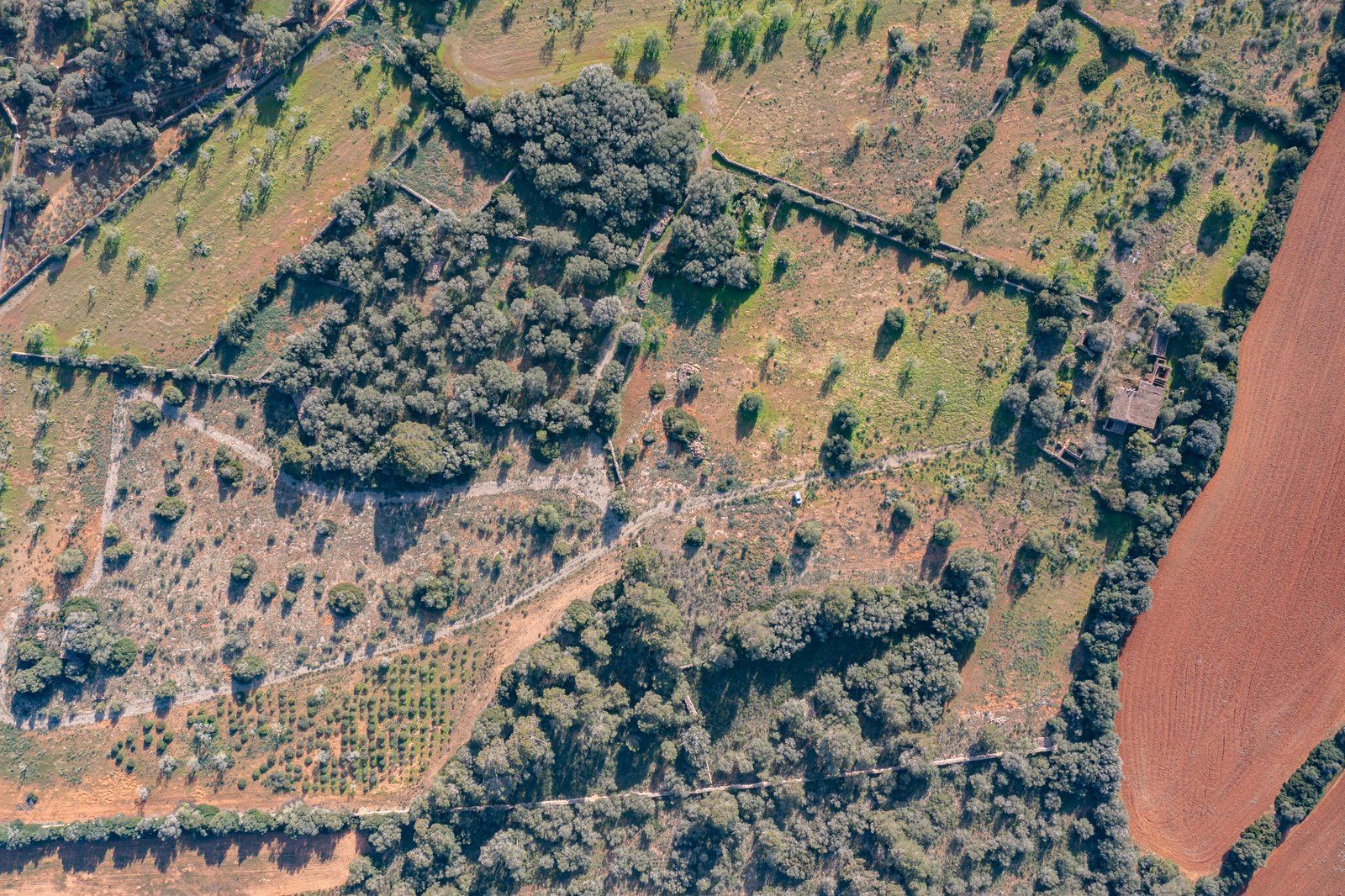 17-866-Villasyfincasmallorca.jpg Finca rústica junto a Cala Pí — 136.400 m², término Llucmajor, a 10 min de la costa