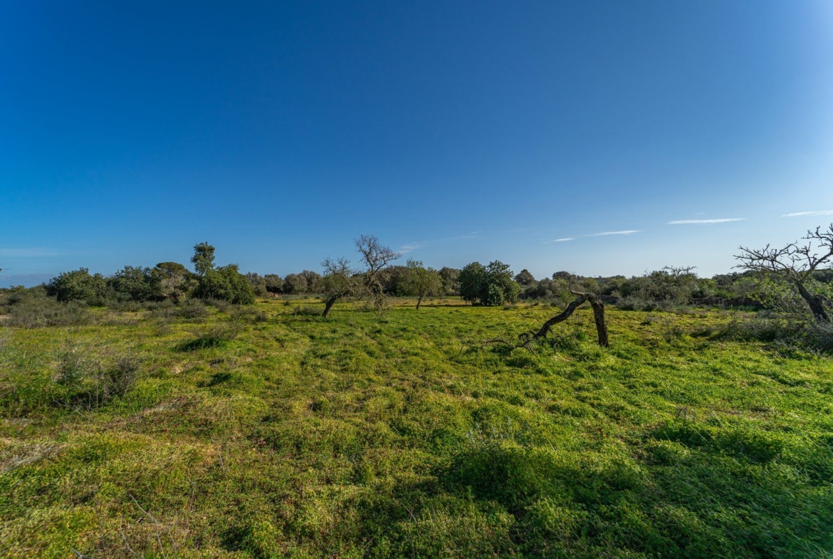 Finca rústica junto a Cala Pí — 136.400 m², término Llucmajor, a 10 min de la costa
