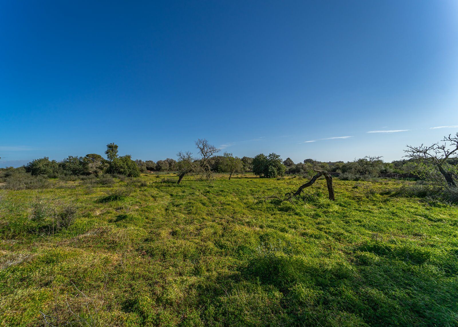 18-866-Villasyfincasmallorca.jpg Finca rústica junto a Cala Pí — 136.400 m², término Llucmajor, a 10 min de la costa