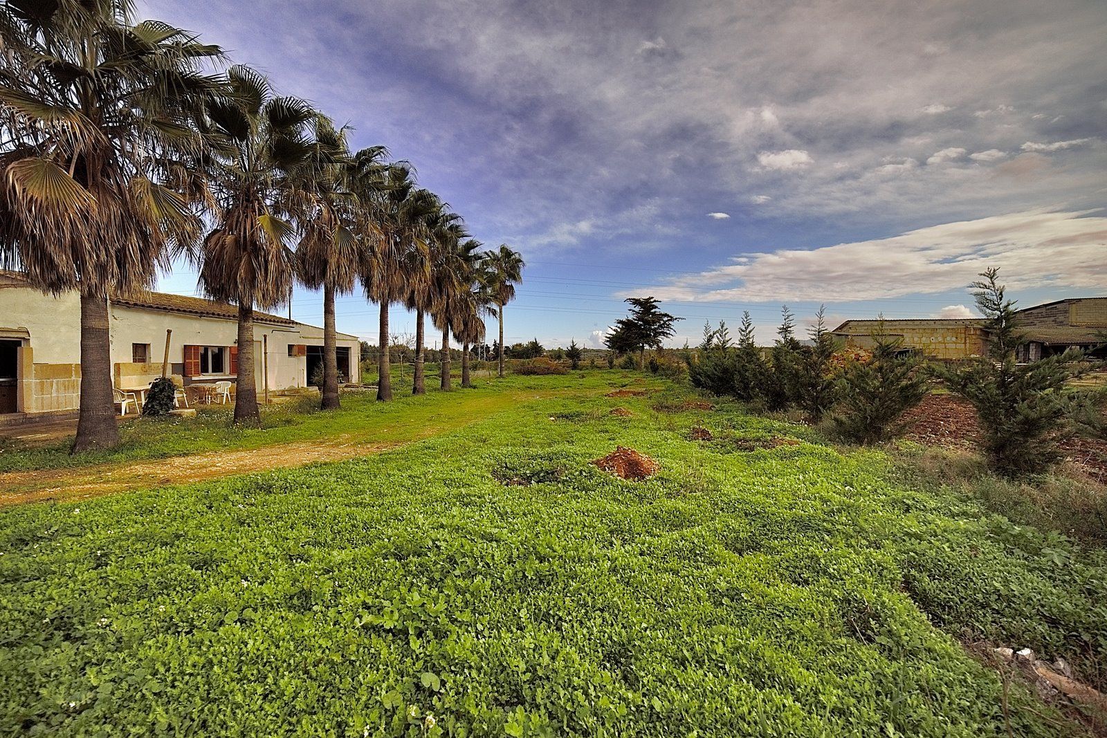 18-Villasyfincasmallorca-3.jpg Rustic Finca Near Campos, South Mallorca | 21,900 m² Land