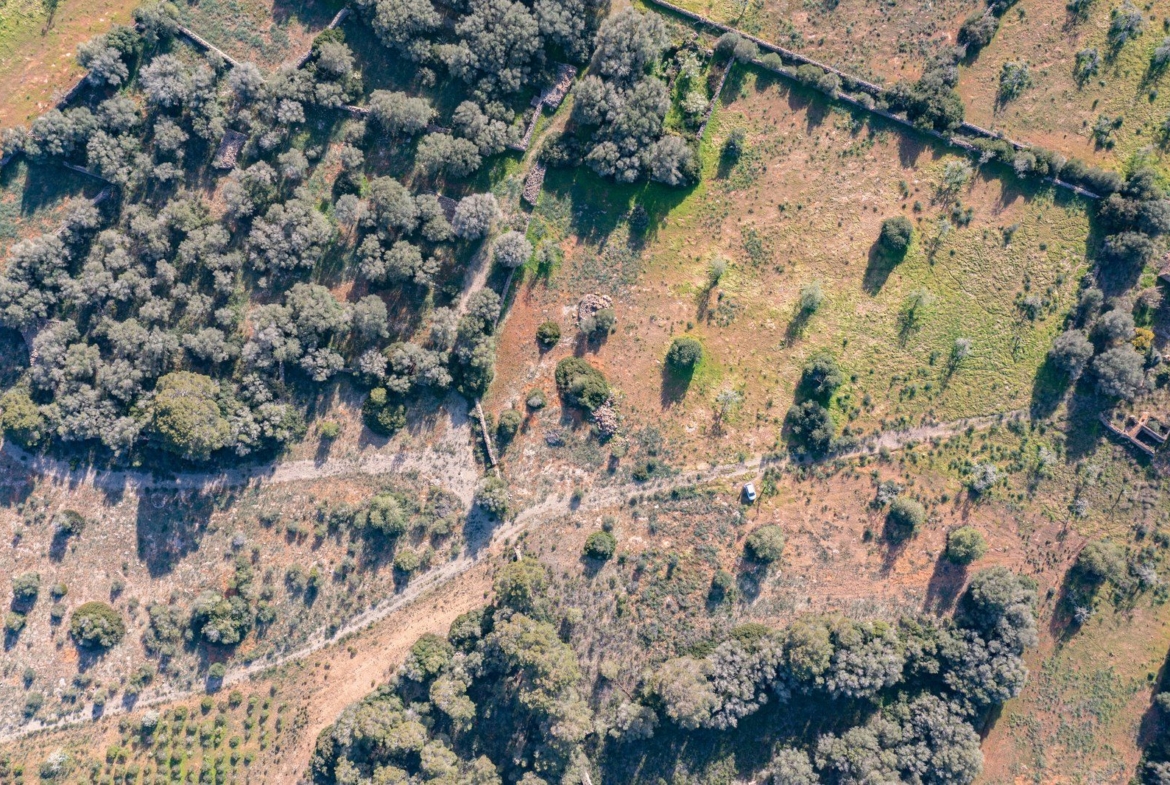 Finca rústica junto a Cala Pí — 136.400 m², término Llucmajor, a 10 min de la costa