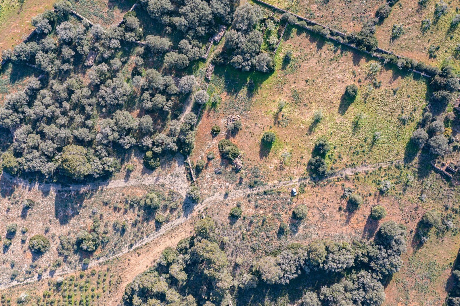 19-866-Villasyfincasmallorca.jpg Finca rústica junto a Cala Pí — 136.400 m², término Llucmajor, a 10 min de la costa