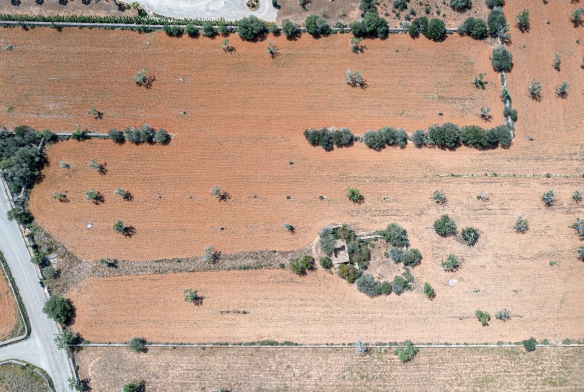 Rustic Land with Building Project Near Cala Llombards, Santanyí