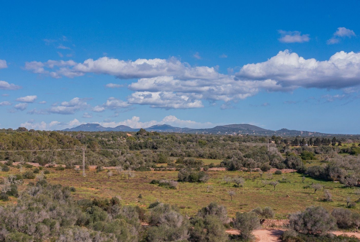 Rustikales Grundstück mit Meerblick in Ses Salines, Mallorca