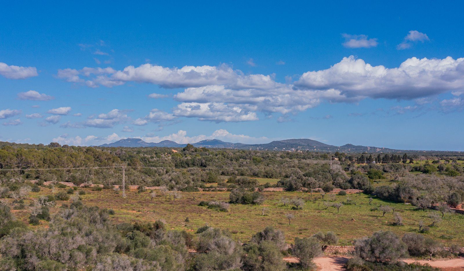 Rustikales Grundstück mit Meerblick in Ses Salines, Mallorca