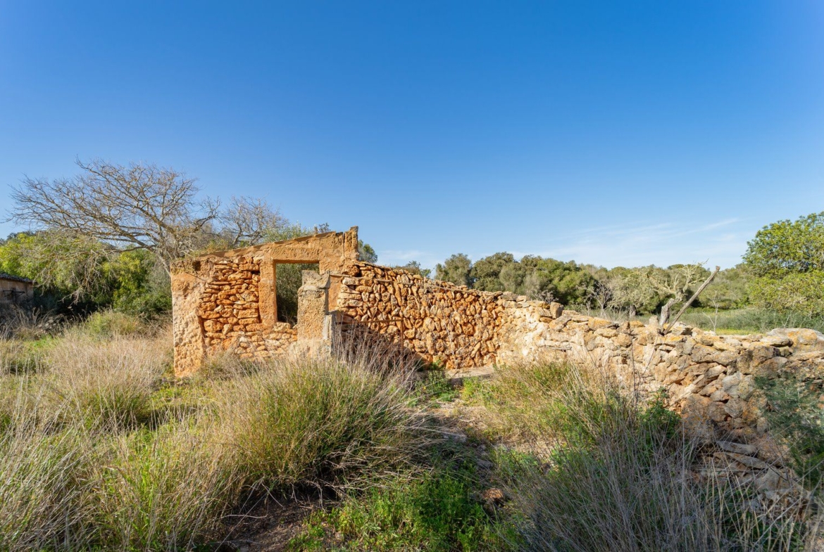 Finca rústica junto a Cala Pí — 136.400 m², término Llucmajor, a 10 min de la costa