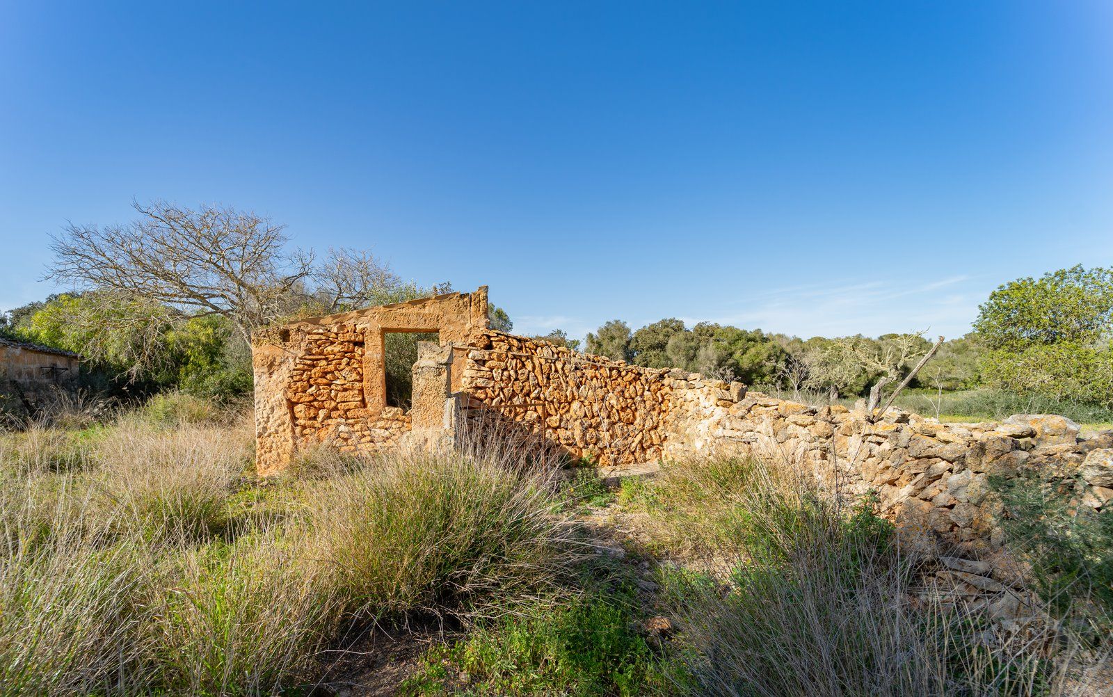 2-866-Villasyfincasmallorca.jpg Finca rústica junto a Cala Pí — 136.400 m², término Llucmajor, a 10 min de la costa