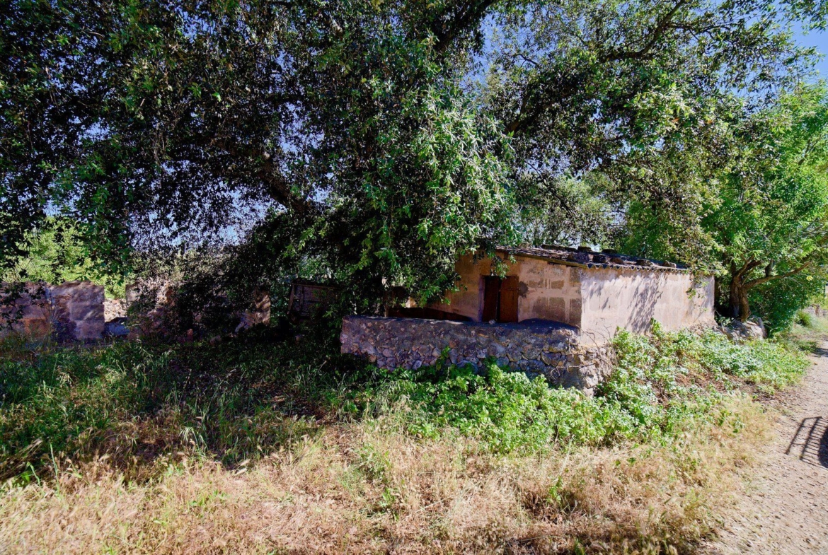 Casa de campo a renovar cerca de C'as Concos, Felanitx
