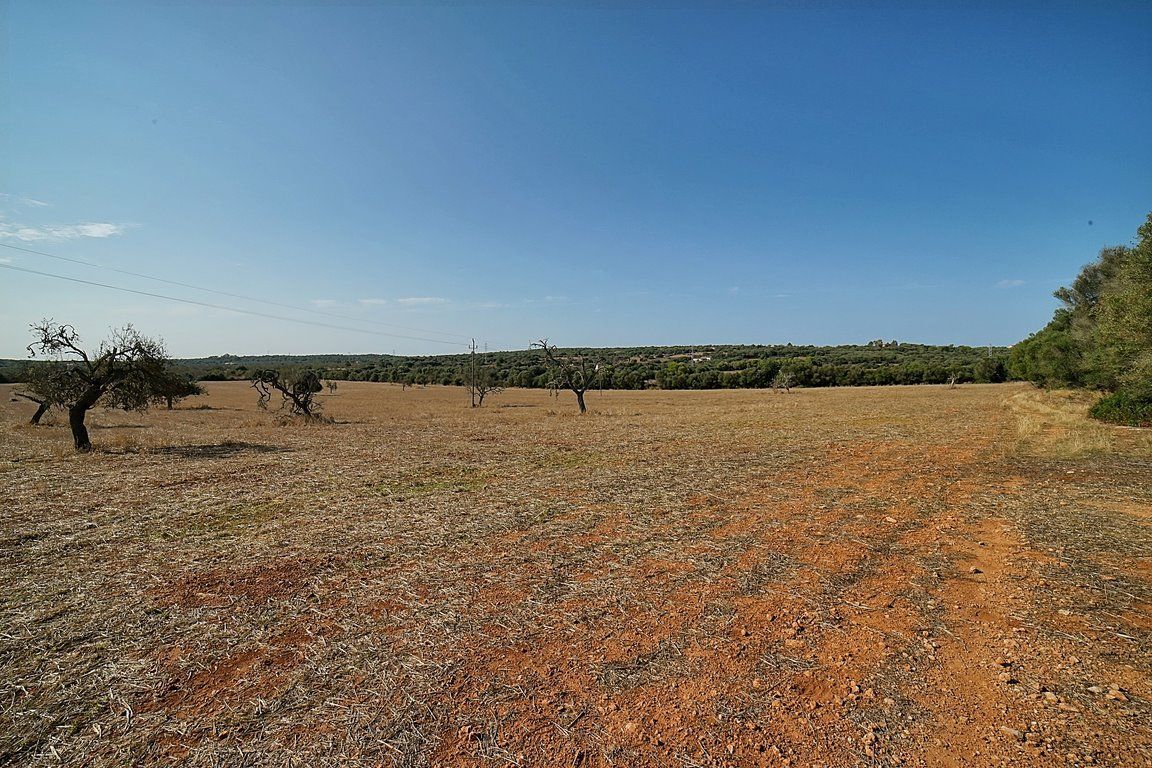 Finca rústica de 167.000 m² entre Campos y Santanyí