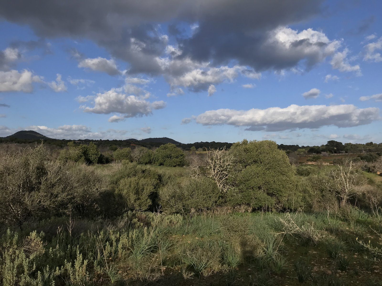 2-Villasyfincasmallorca-4.jpg Country Home Plot with Project Near Santanyí: 20,000 m² Land