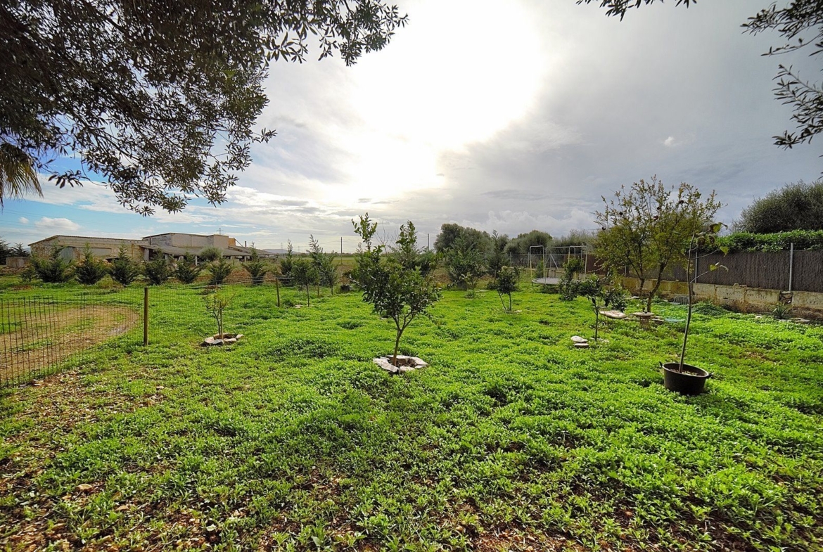 Rustic Finca Near Campos, South Mallorca | 21,900 m² Land