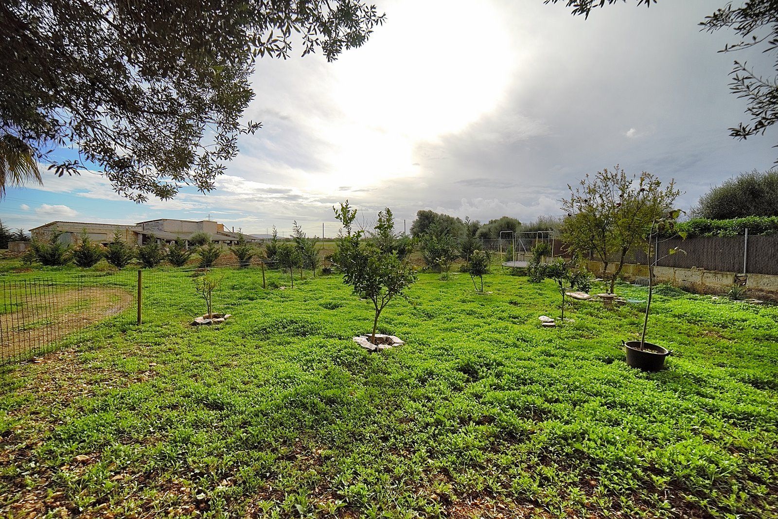 2-Villasyfincasmallorca-5.jpg Rustic Finca Near Campos, South Mallorca | 21,900 m² Land