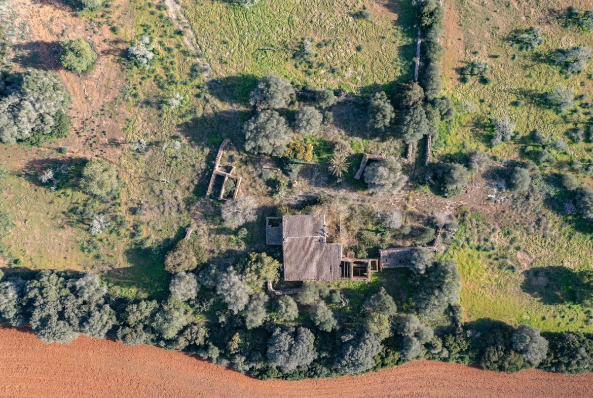 Finca rústica junto a Cala Pí — 136.400 m², término Llucmajor, a 10 min de la costa
