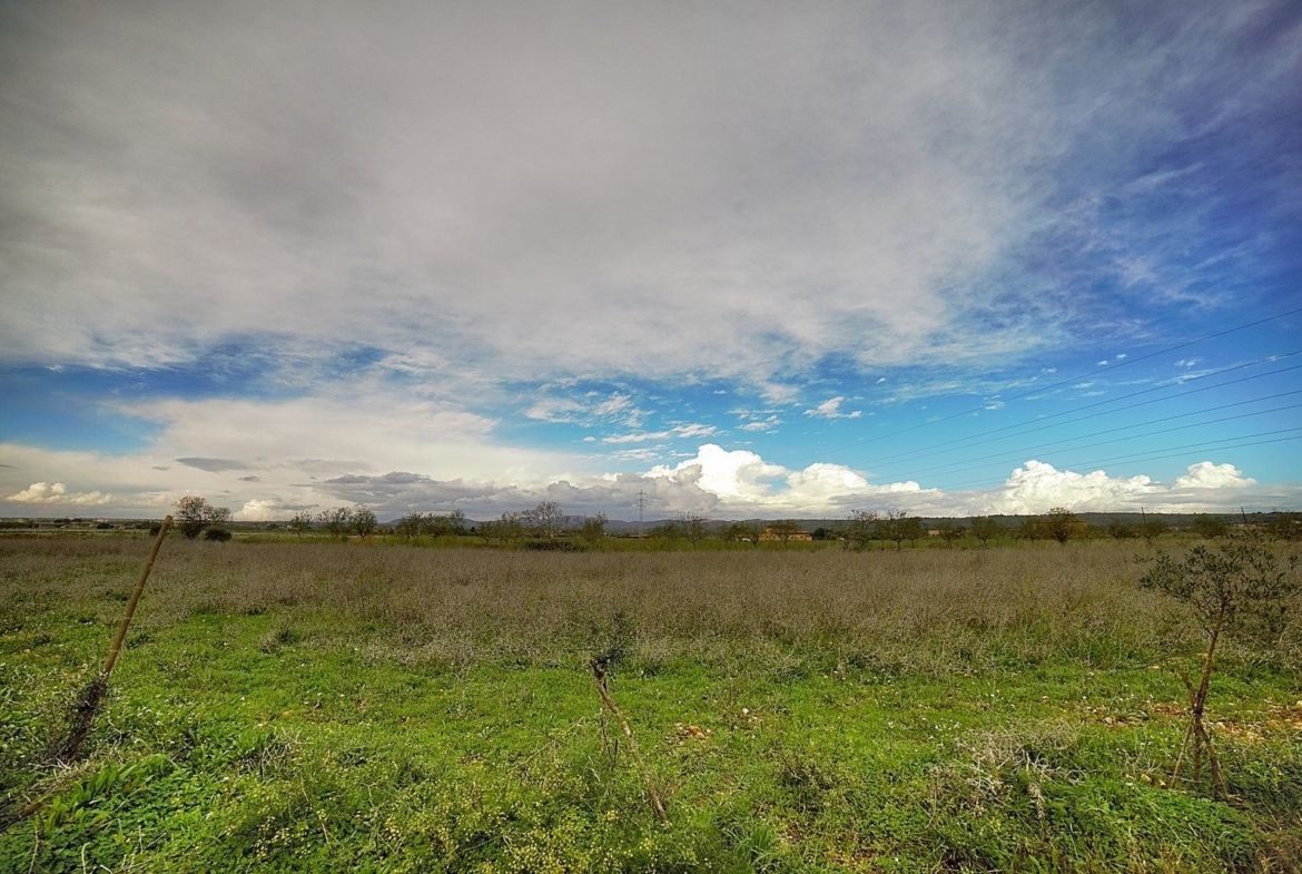 Rustic Finca Near Campos, South Mallorca | 21,900 m² Land