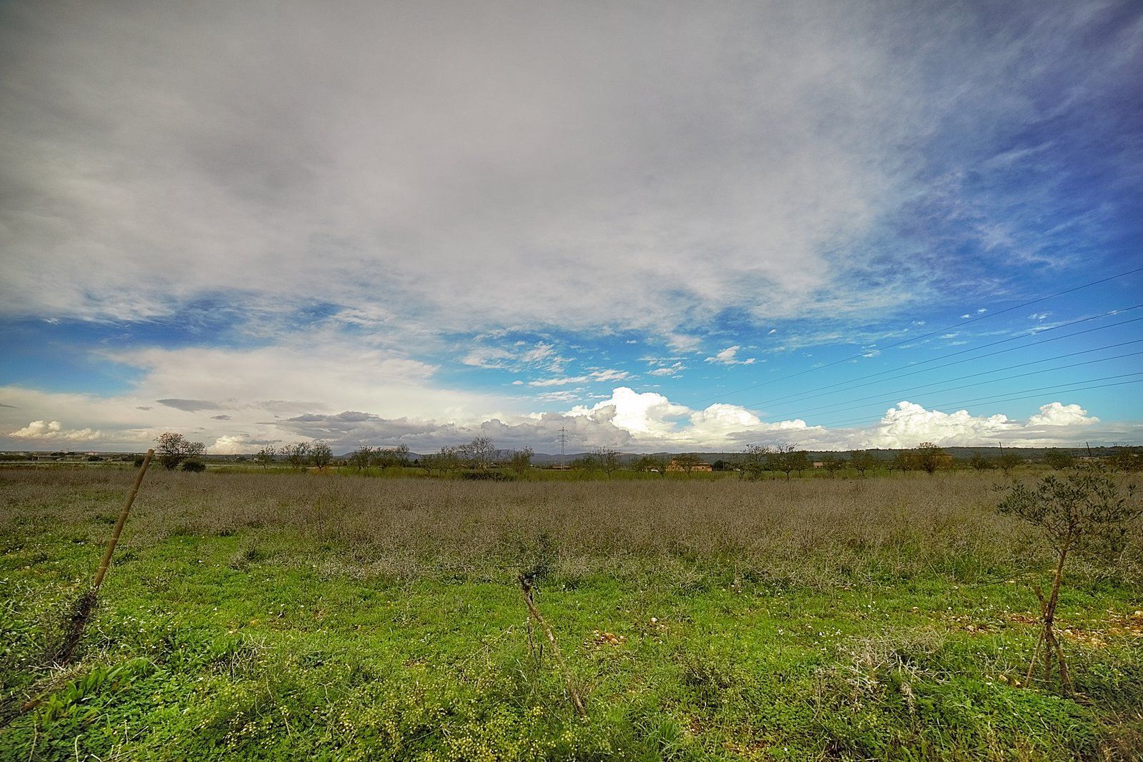 28-Villasyfincasmallorca.jpg Rustic Finca Near Campos, South Mallorca | 21,900 m² Land