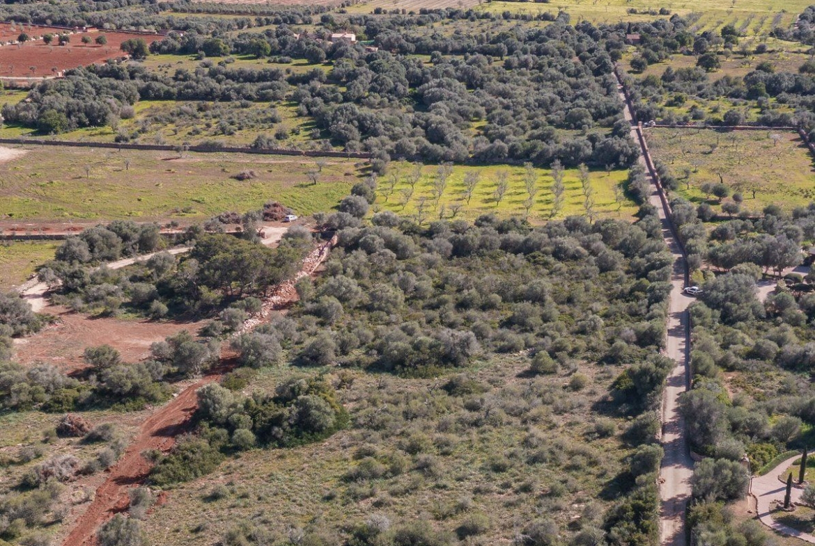 Rustikales Grundstück mit Meerblick in Ses Salines, Mallorca