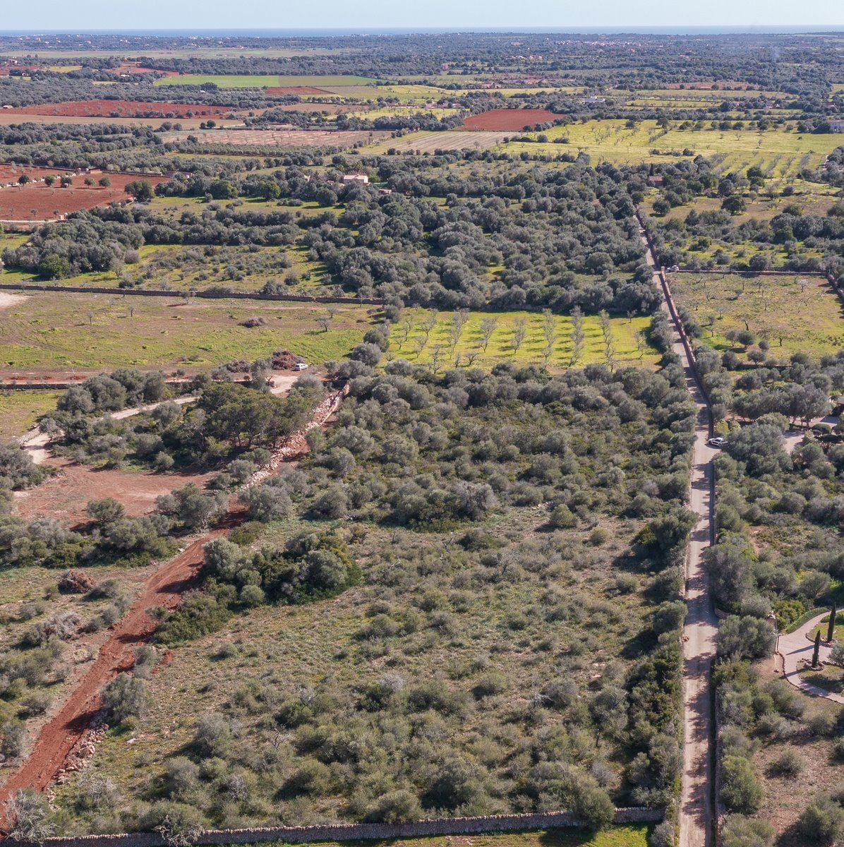 Rustikales Grundstück mit Meerblick in Ses Salines, Mallorca