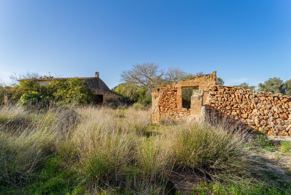 Finca rústica junto a Cala Pí — 136.400 m², término Llucmajor, a 10 min de la costa